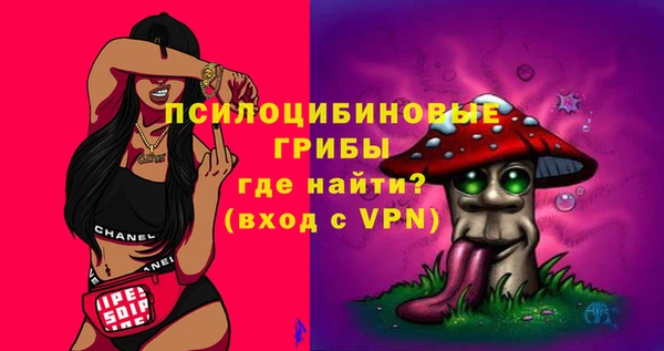 дурь Алексин