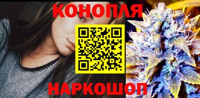 гидра Можга