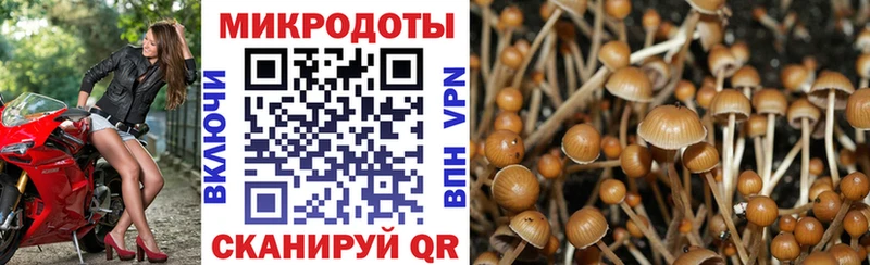 это состав  Саранск  Псилоцибиновые грибы мухоморы  как найти  