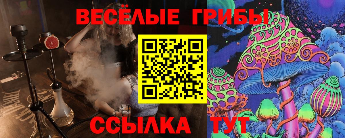 Галлюциногенные грибы Magic Shrooms  Псилоцибиновые грибы Cubensis  наркота  Саранск  Вход с VPN 
